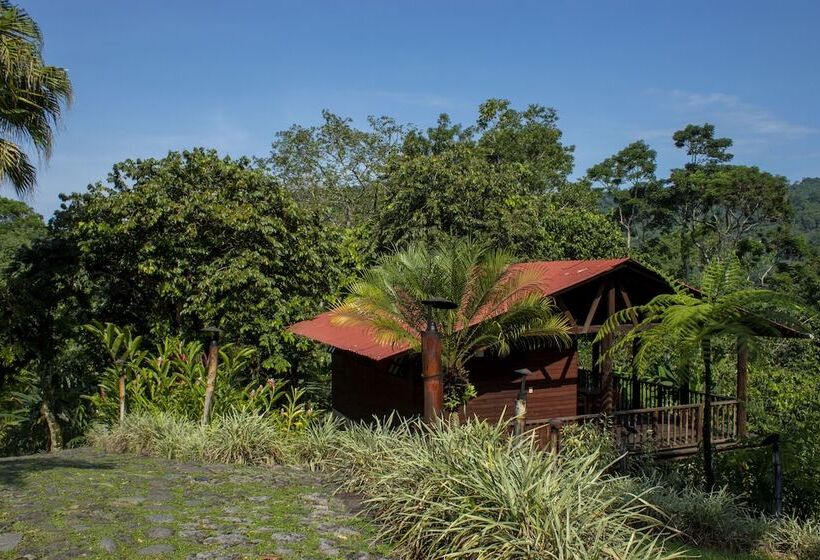 キャビン, Argovia Finca Resort