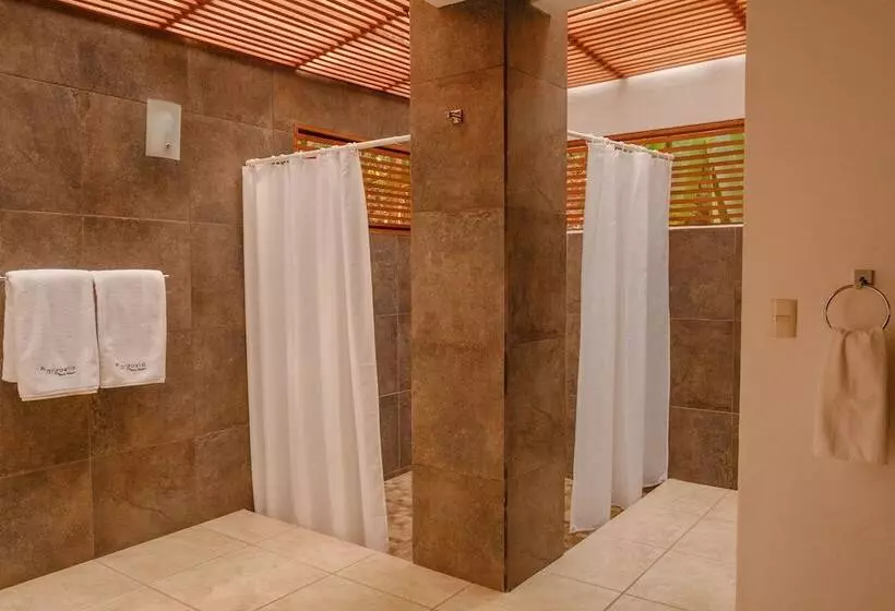 سوییت, Argovia Finca Resort