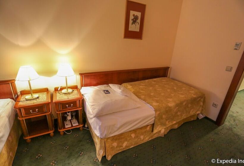اتاق استاندارد یک نفره, Ea Hotel Rokoko
