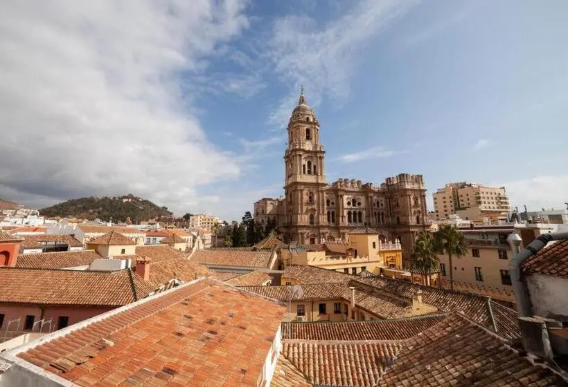 اتاق استاندارد با تراس, Petit Palace Plaza Malaga