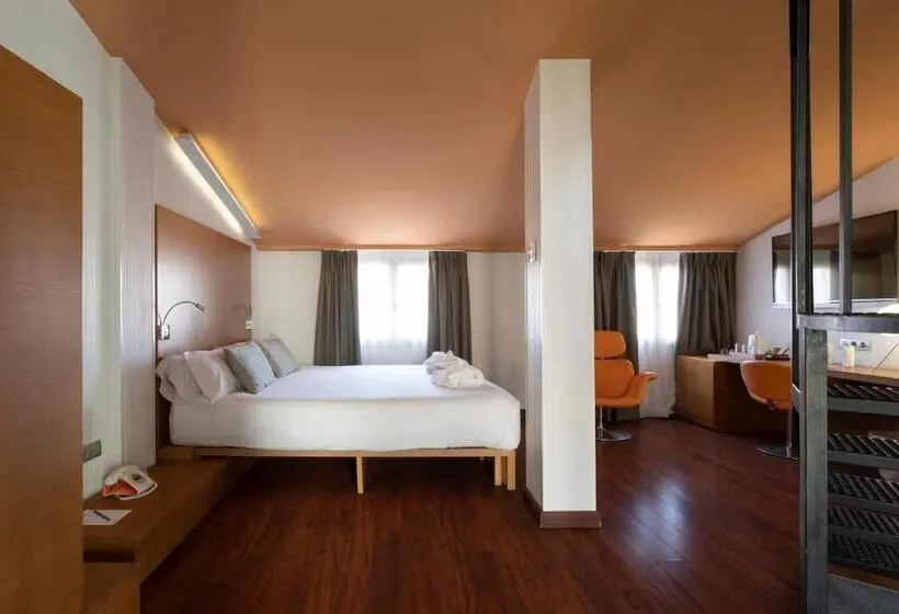 اتاق استاندارد با تراس, Petit Palace Plaza Malaga