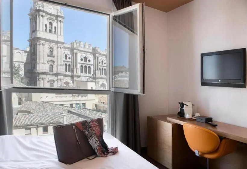 اتاق استاندارد با چشمانداز, Petit Palace Plaza Malaga
