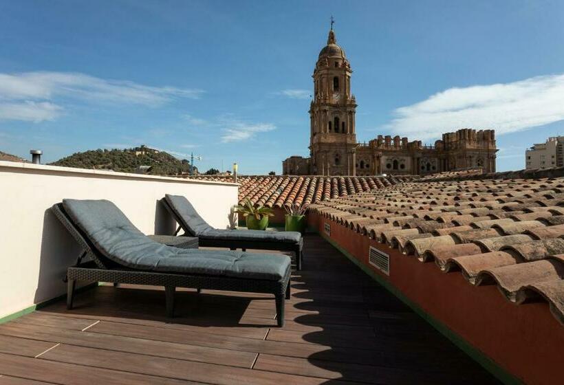 اتاق استاندارد با تراس, Petit Palace Plaza Malaga