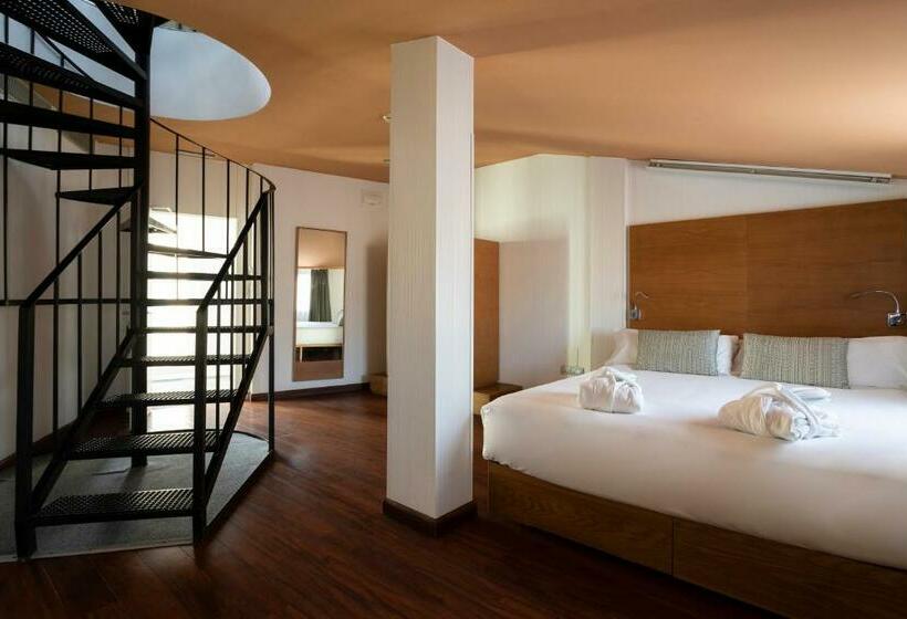 اتاق استاندارد با تراس, Petit Palace Plaza Malaga