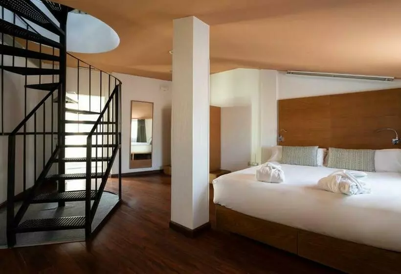اتاق استاندارد با تراس, Petit Palace Plaza Malaga