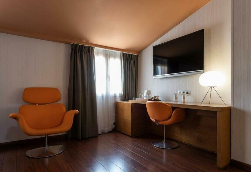 اتاق استاندارد با تراس, Petit Palace Plaza Malaga