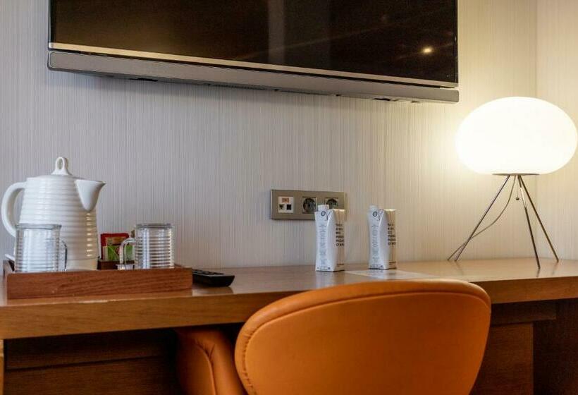 اتاق استاندارد با تراس, Petit Palace Plaza Malaga