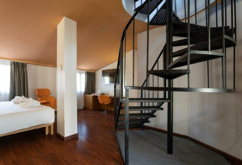 اتاق استاندارد با تراس, Petit Palace Plaza Malaga