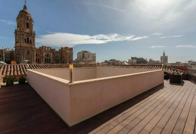 اتاق استاندارد با تراس, Petit Palace Plaza Malaga