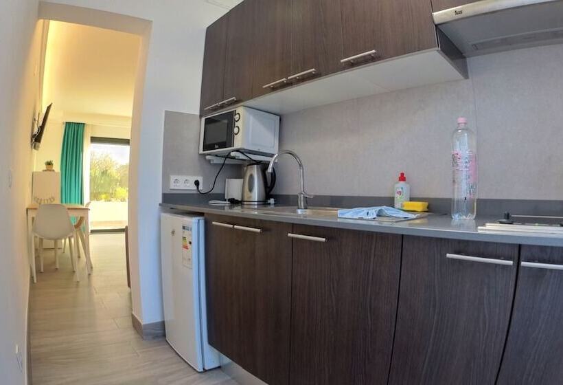 スーペリアスタジオ, Palmeras Garden