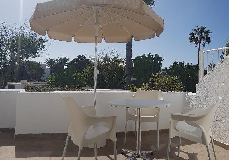 סטודיו סופריור, Palmeras Garden