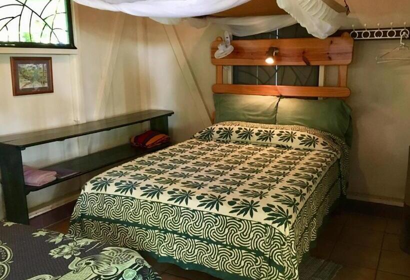 Бунгало Стандарт, Cabinas Los Cocos