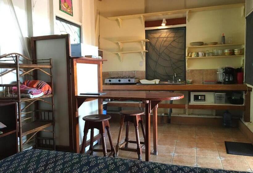 Бунгало Стандарт, Cabinas Los Cocos