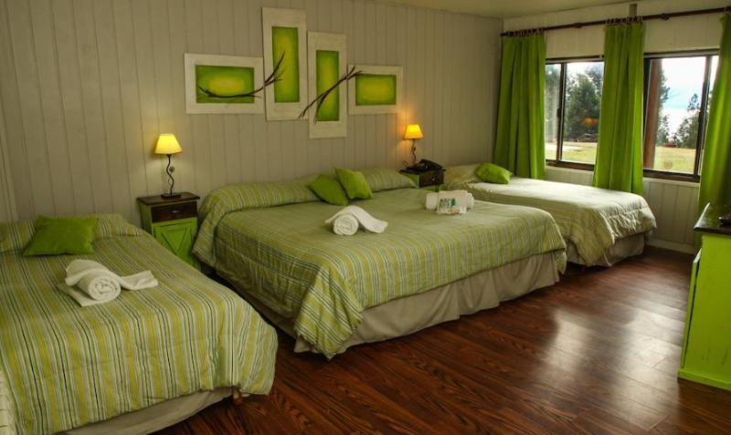 اتاق استاندارد چهار تخته, Basia Hotel & Sushi