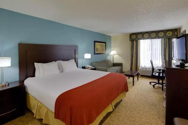 キングサイズベッドのスタンダードルーム, Holiday Inn Exp Winston Salem By Ihg