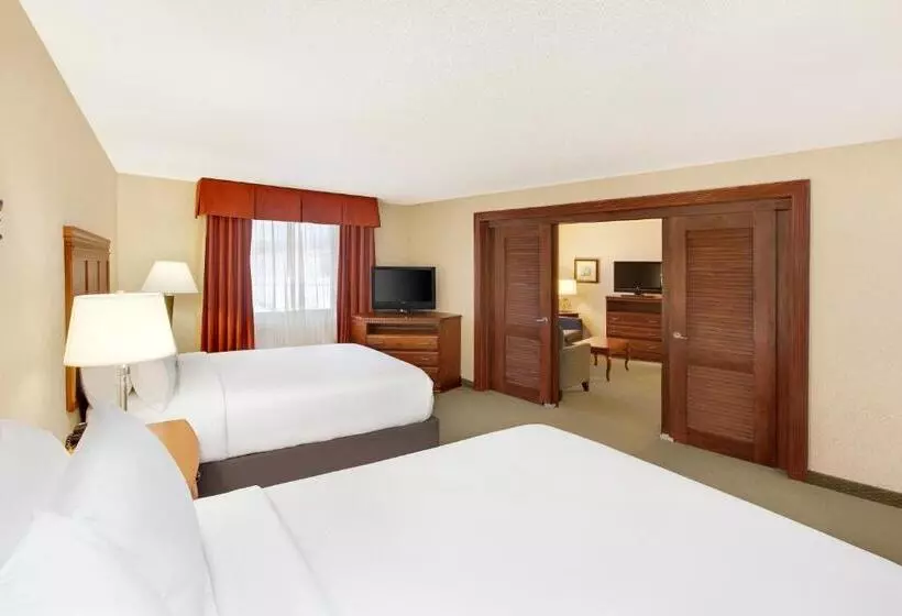 Sviitti, Holiday Inn Express Dallas Medical Market Center