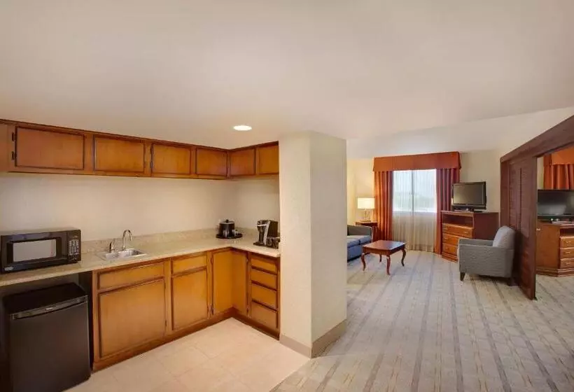 Sviitti, Holiday Inn Express Dallas Medical Market Center