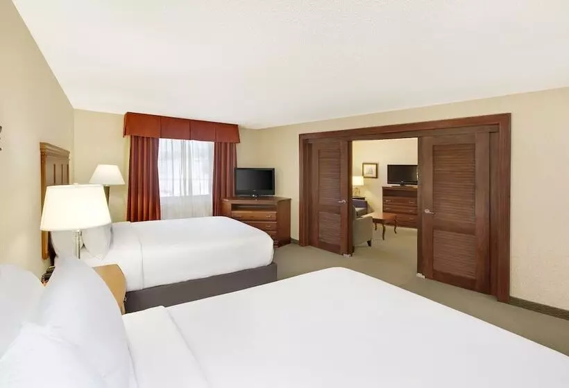 Sviitti, Holiday Inn Express Dallas Medical Market Center