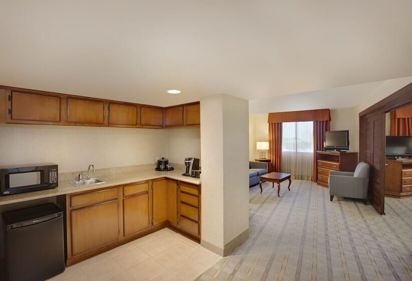 Люкс, Holiday Inn Express Dallas Medical Market Center