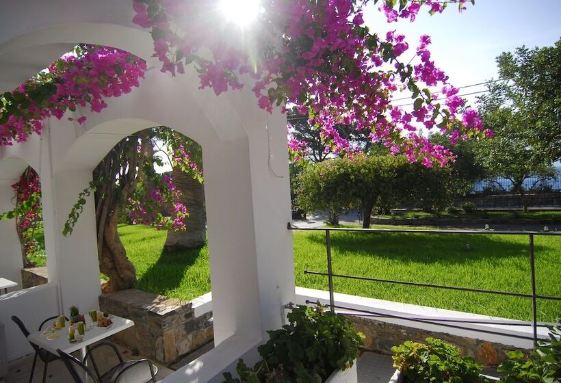 غرفة قياسية, Lato