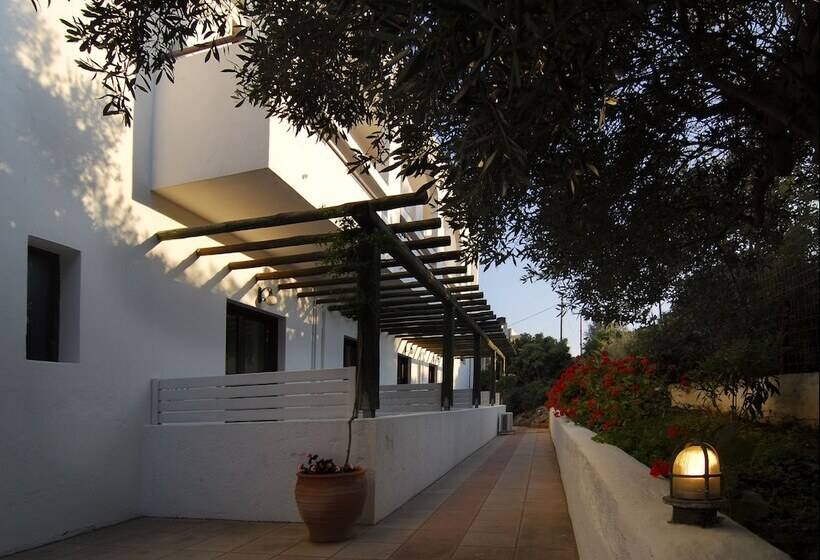 غرفة قياسية, Lato