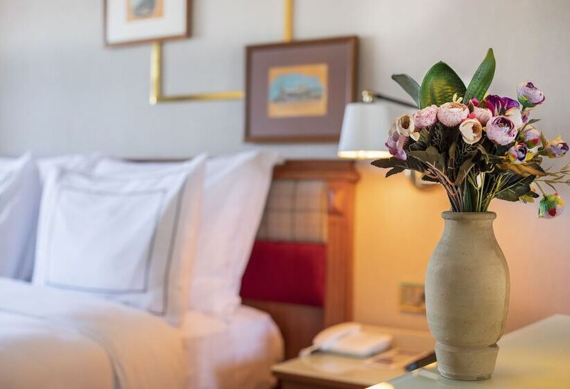 اتاق استاندارد, Orient Express & Spa By Orka Hotels