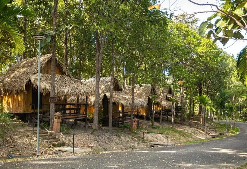 بانگلوی استاندارد, Jirung Health Village
