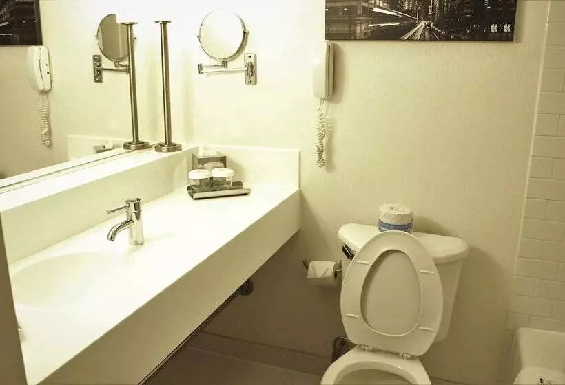 ２ダブルベッドのスタンダードルーム, Crowne Plaza   Chicago West Loop, An Ihg