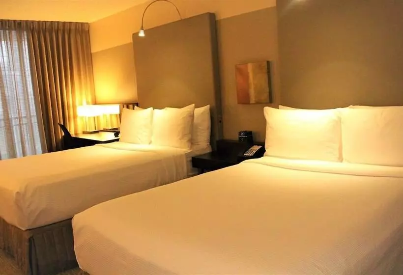 ２ダブルベッドのスタンダードルーム, Crowne Plaza   Chicago West Loop, An Ihg