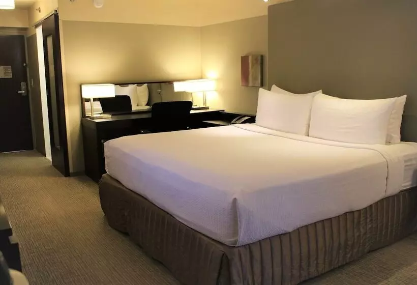 ダブルベッドスタンダードルーム, Crowne Plaza   Chicago West Loop, An Ihg