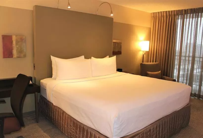 ダブルベッドスタンダードルーム, Crowne Plaza   Chicago West Loop, An Ihg