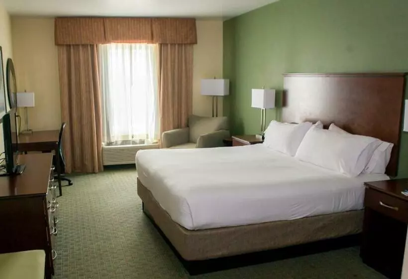 キングサイズベッドのスタンダードルーム, Holiday Inn Express & Suites Cocoa, An Ihg