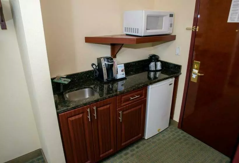 キングサイズベッドのスタンダードルーム, Holiday Inn Express & Suites Cocoa, An Ihg