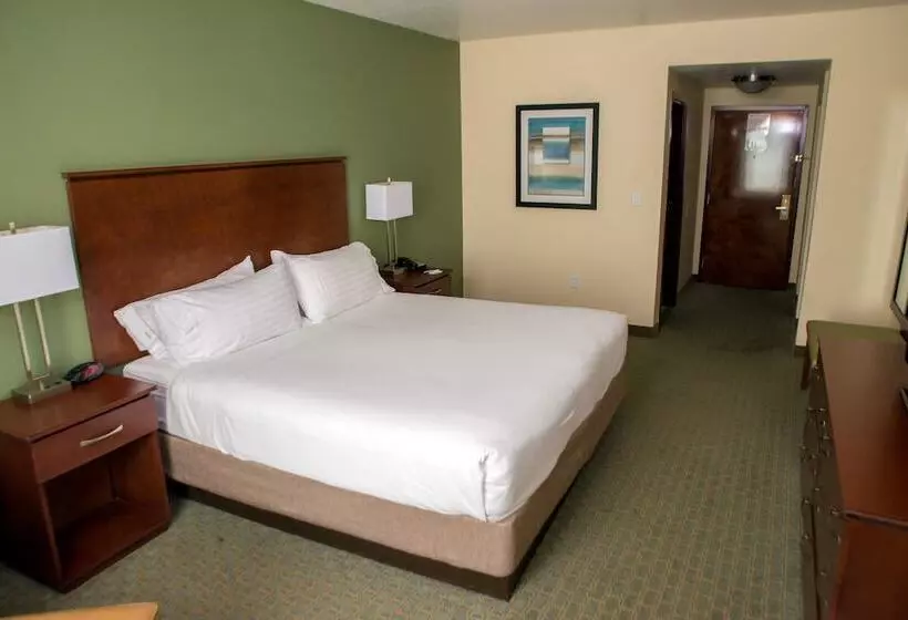 スタンダードルーム, Holiday Inn Express & Suites Cocoa, An Ihg