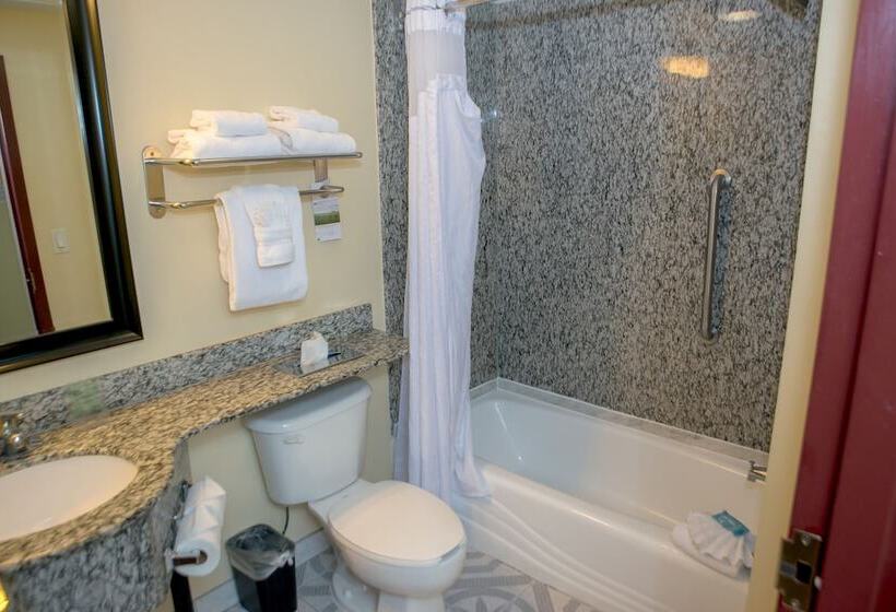套房, Holiday Inn Express & Suites Cocoa, An Ihg