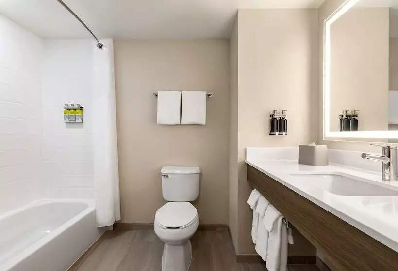 スタンダードルーム, Holiday Inn Express Hotel & Suites Fort Pierce West, An Ihg
