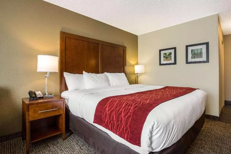 キングサイズベッドのスタンダードルーム, Holiday Inn Express Hotel & Suites Fort Pierce West, An Ihg