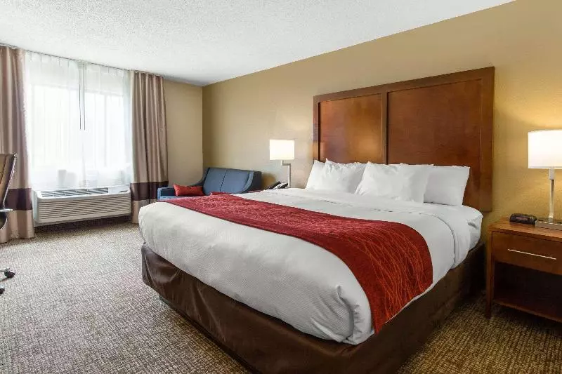 キングサイズベッドのスタンダードルーム, Holiday Inn Express Hotel & Suites Fort Pierce West, An Ihg