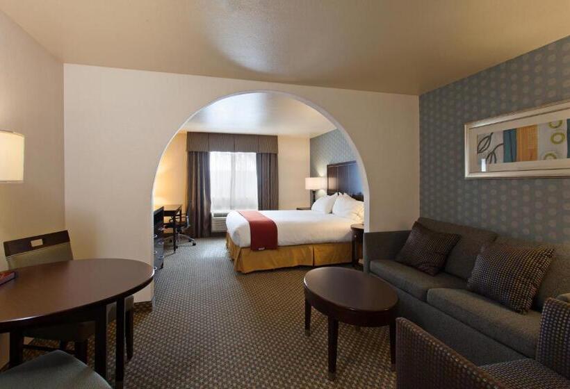 جناح سرير كينج, Holiday Inn Express Hotel & Suites Hermosa Beach, An Ihg