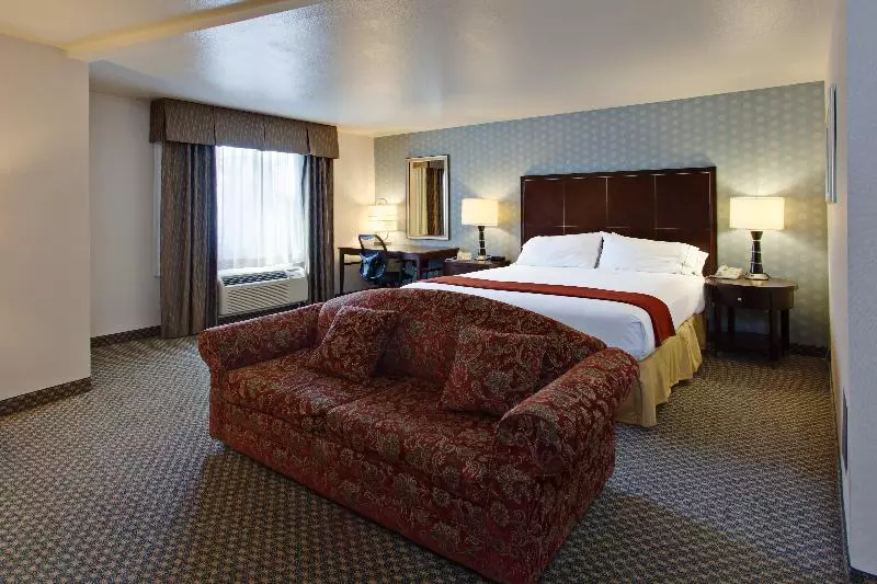 اتاق استاندارد با تخت بزرگ, Holiday Inn Express Hotel & Suites Hermosa Beach, An Ihg