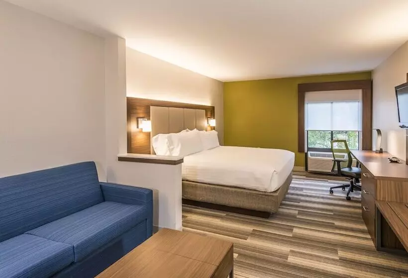 スイート, Holiday Inn Express Hotel & Suites Jacksonville South, An Ihg