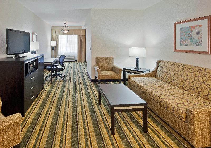 Suite Cama King, Holiday Inn Express Berkeley, An Ihg