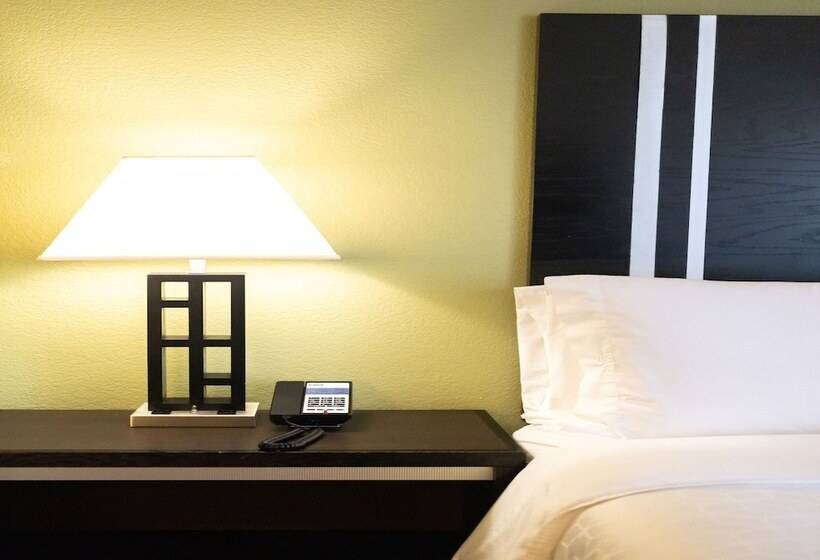 Quarto standard, Holiday Inn Express Berkeley, An Ihg