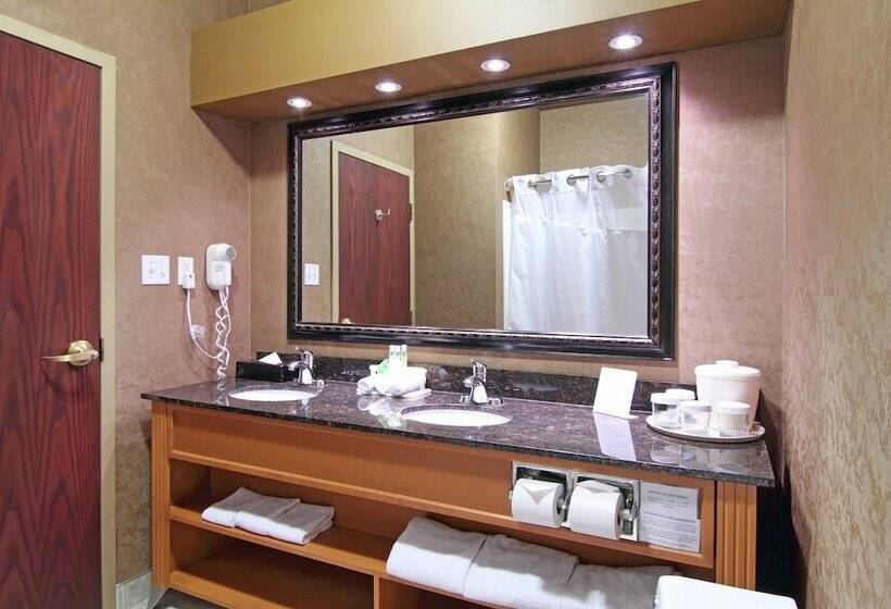 スタンダードルーム, Holiday Inn Express Calgary South, An Ihg