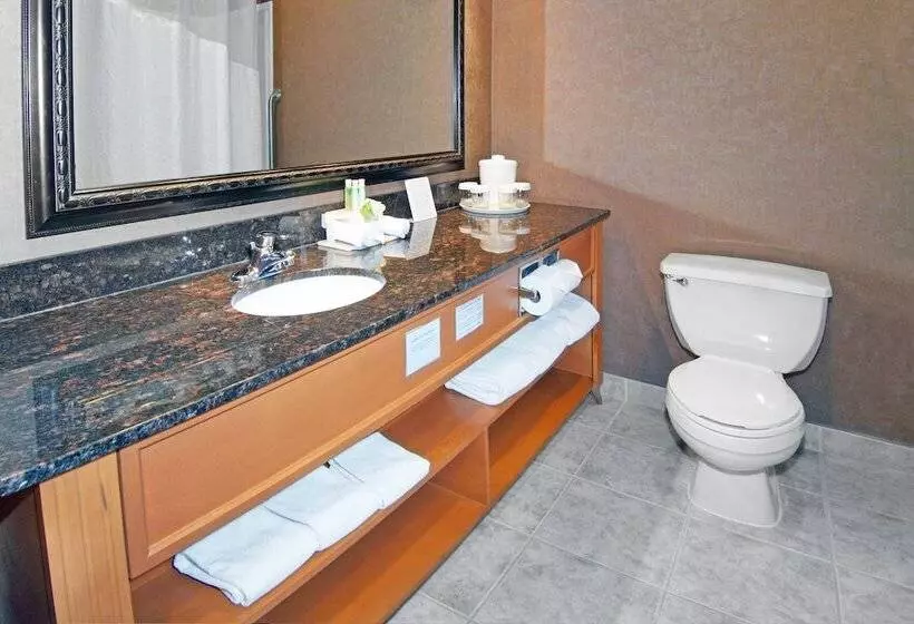 اتاق استاندارد, Holiday Inn Express Calgary South, An Ihg