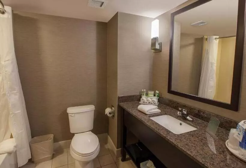 スタンダードルーム, Holiday Inn Express & Suites Buffalo Airport, An Ihg