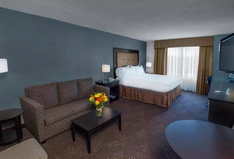 キングサイズベッドのスイートルーム, Holiday Inn Express & Suites Buffalo Airport, An Ihg