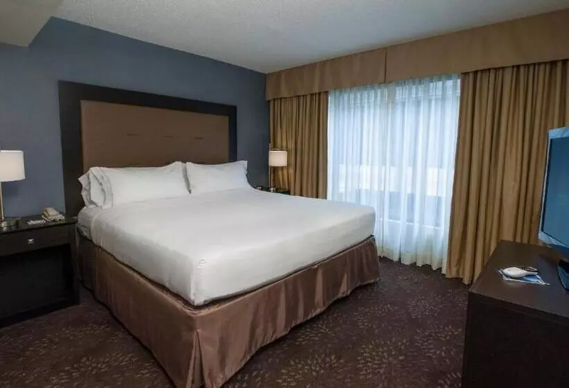 キングサイズベッドのスイートルーム, Holiday Inn Express & Suites Buffalo Airport, An Ihg