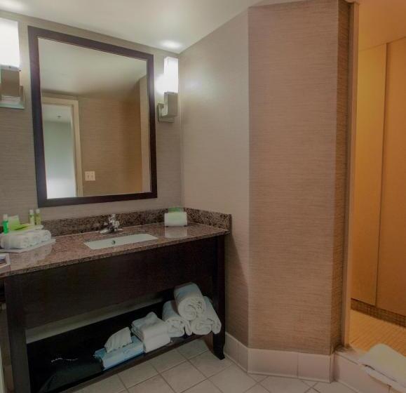 キングサイズベッドのスイートルーム, Holiday Inn Express & Suites Buffalo Airport, An Ihg