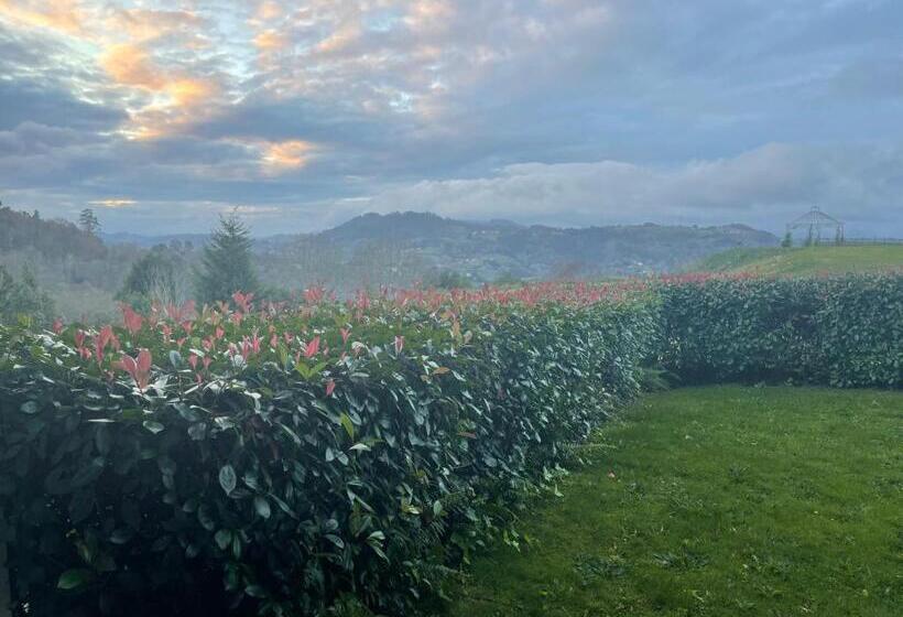 جناح جونيور, Hosteria De Torazo Nature Hotel & Spa